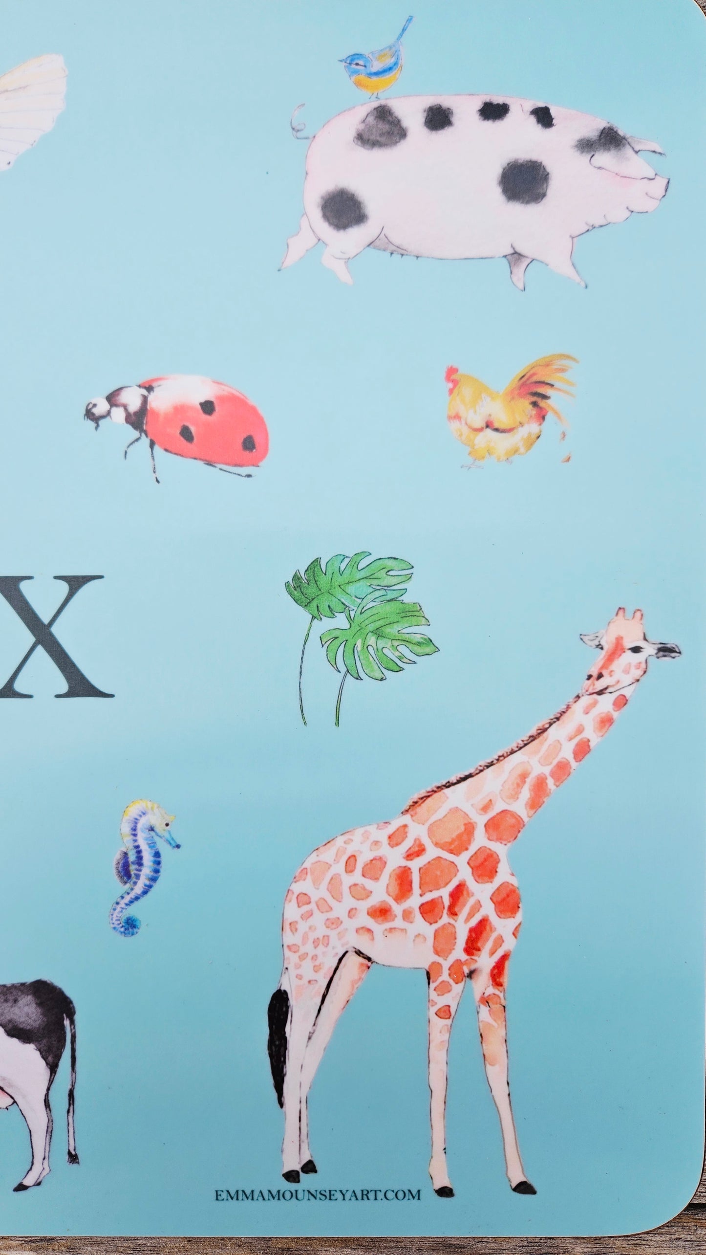 *NEW!* NATURAL WORLD PLACEMAT