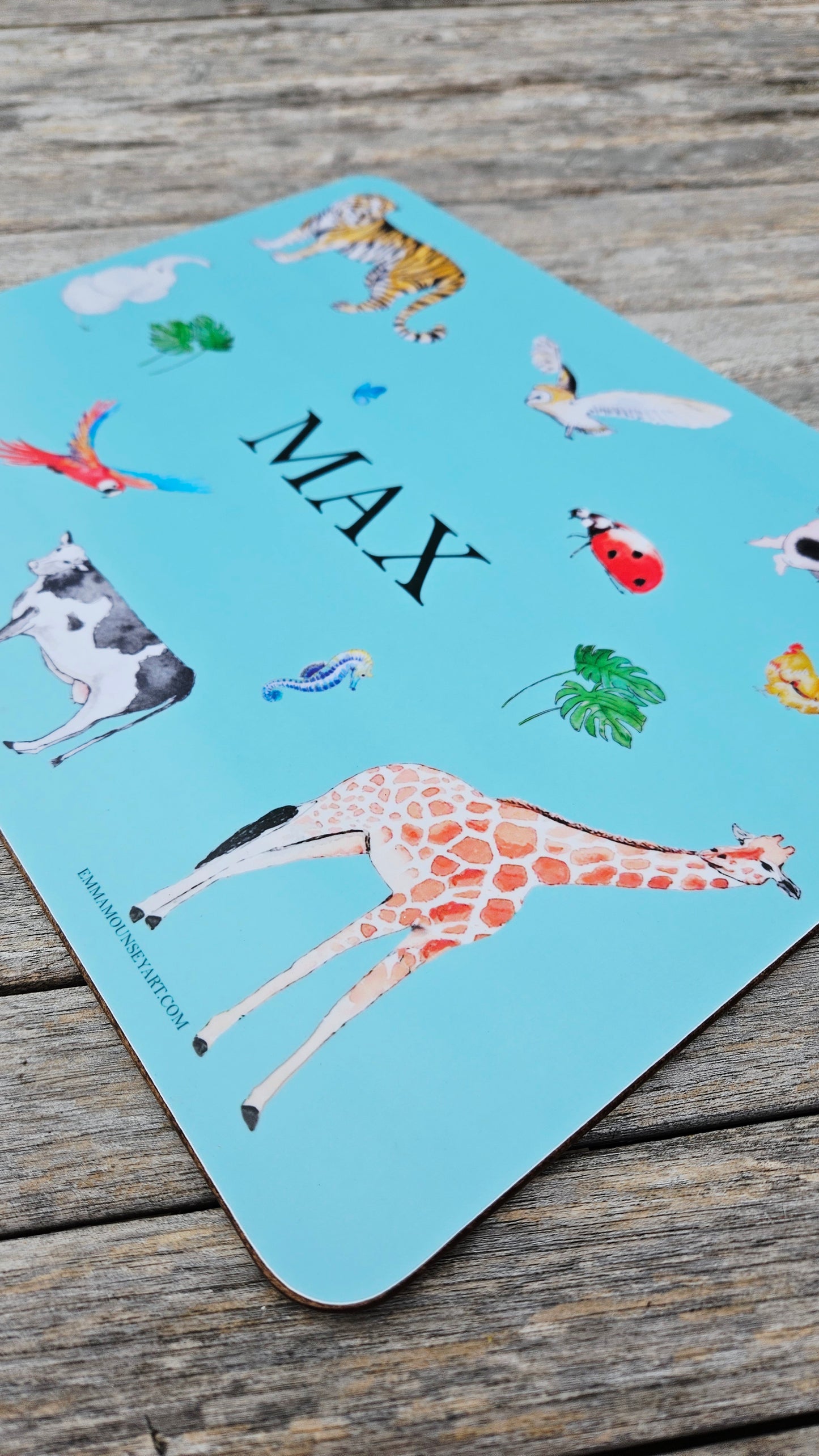 *NEW!* NATURAL WORLD PLACEMAT