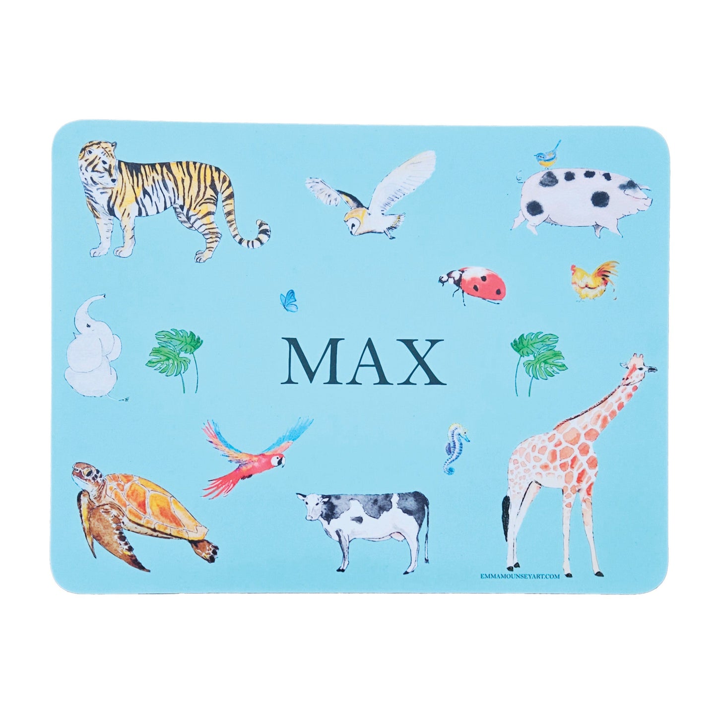 *NEW!* NATURAL WORLD PLACEMAT