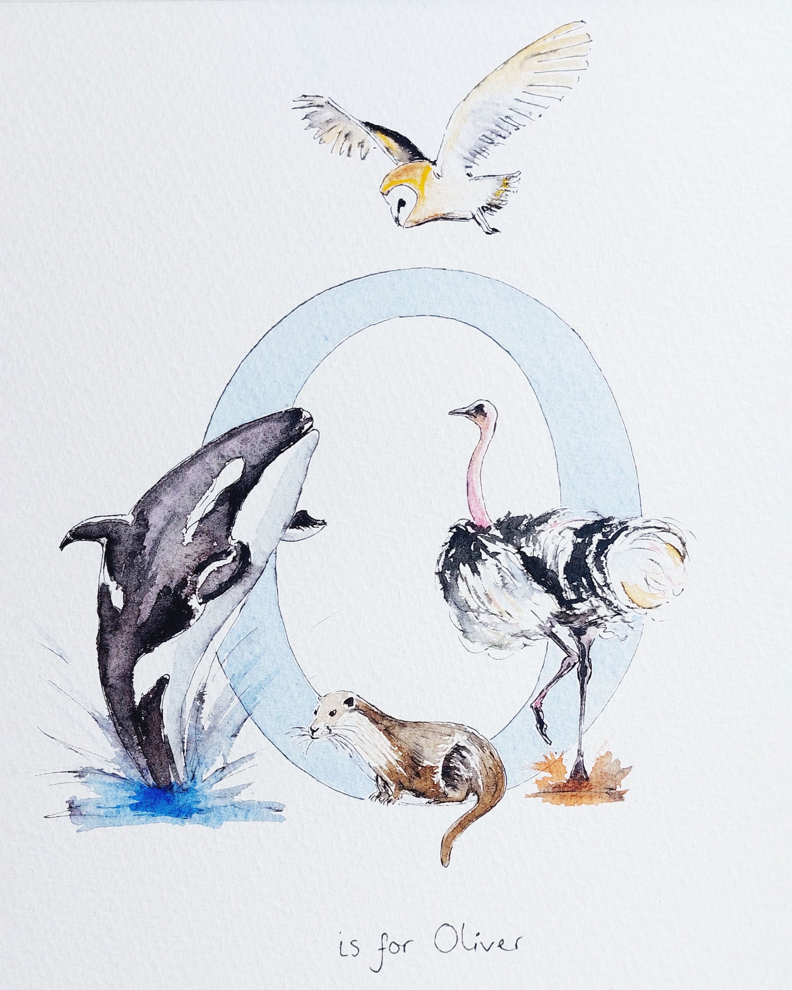 A hand-painted watercolour featuring an orca, ostrich, otter and owl and the initial 'O'.