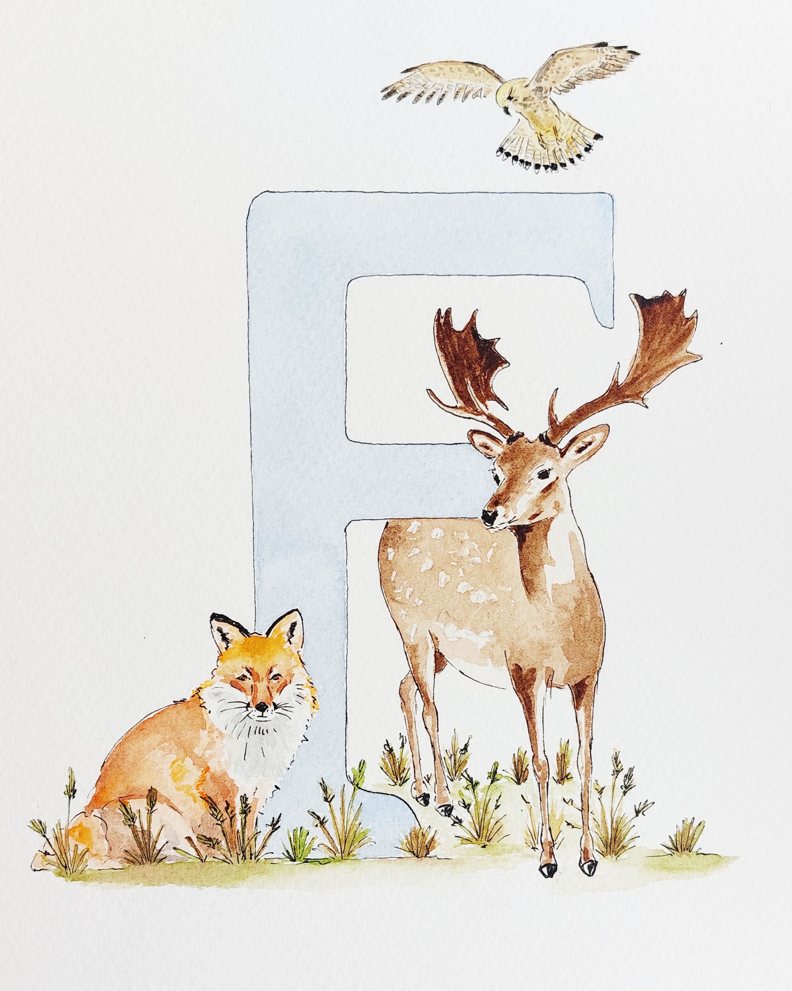 Hand-painted nursery personalised initial watercolour with the initial 'F', featuring whimsical fallow deer, fox and falcon. Perfect for baby room decor.